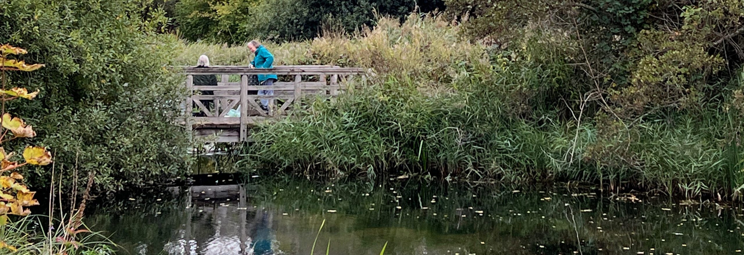 Quiet setting near water